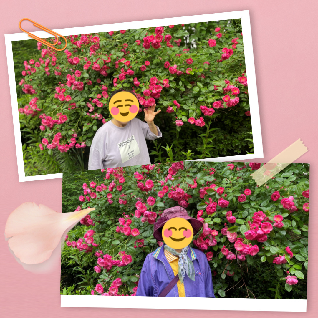 1542b61dc8624acf26ac4bf0567ea546_1622613715_15.jpg